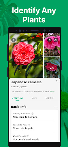 PictureThis - Plant Identifier PictureThis - Plant Identifier