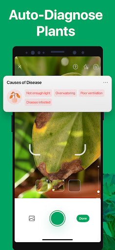 PictureThis - Plant Identifier PictureThis - Plant Identifier
